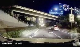 璧山餐饮爆料事件视频,揭露后厨黑幕，食品安全引关注